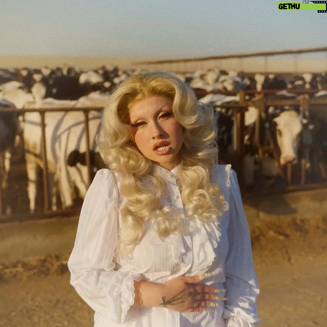 Lucy Loone Instagram - stills from: whole milk ~ out now ⚜️🐄🪵🪺✨
