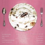 Lucy Loone Instagram - 15 tracks will be yours to keep this Friday October 13th 2023. “Eat it Up” the album is on its very way. 💕🐜🎂 Let me know now, which track/s are you most excited for off the bat?🦇💕 i can’t wait for you to hear this record in full 🥹 ++ big thank you to my dear @cometintheflesh for helping me bring this back cover to life💗 ｡◕‿‿◕｡xx