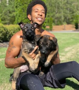 Ludacris Instagram - How It Started Vs How It’s Going 🐕 🐕 #blegianmalinois #sundaze