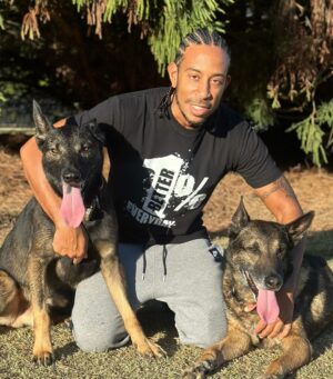 Ludacris Instagram - How It Started Vs How It’s Going 🐕 🐕  #blegianmalinois #sundaze