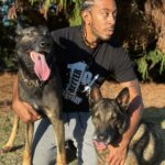 Ludacris Instagram - How It Started Vs How It’s Going 🐕 🐕 #blegianmalinois #sundaze