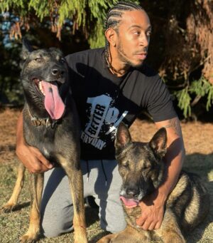 Ludacris Instagram - How It Started Vs How It’s Going 🐕 🐕  #blegianmalinois #sundaze