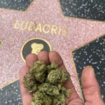 Ludacris Instagram - Such A Blessing To See How My Fans Are Watching Over My Star With Love 🙏🏾