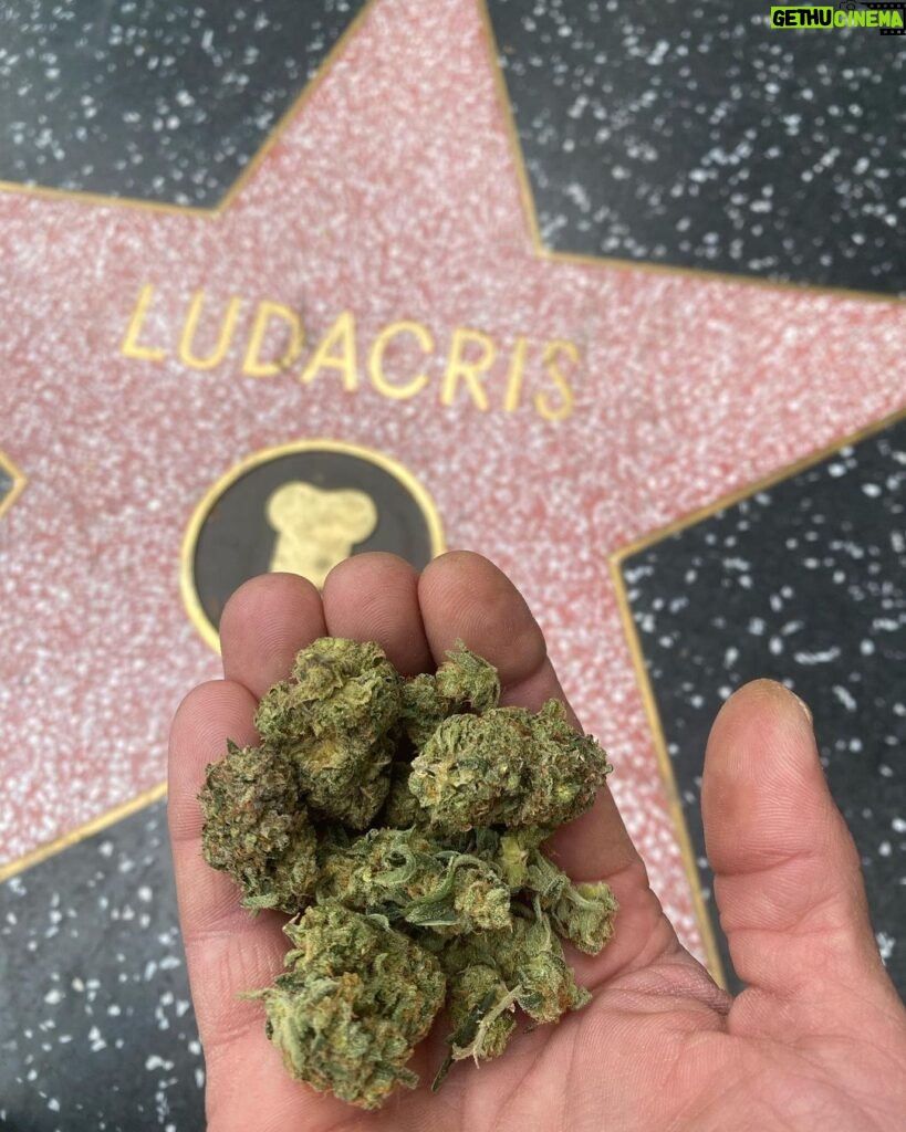 Ludacris Instagram - Such A Blessing To See How My Fans Are Watching Over My Star With Love 🙏🏾