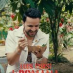 Luis Fonsi Instagram - Recuerdo cuando la conocí en #LaRomana… Espero que la gocen y bailen toda la noche 🕺🔥 Ya Disponible