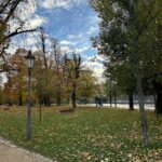 Lukáš Pavlásek Instagram - Podzim v Praze má svojí atmosféru. Tu je básnička, kterou jsem už dřív napsal do své knížky o Praze, o místech co mám rád, o dětství, dospívání a dospělosti. Bude to takový můj vlastní osobní Pražský chodec. Někdy knížku vydám, ale nevím kdy, nepospíchám na ni. Průběžně jí píšu. Fotky jsem nafotil na mobil dnes na procházce. NÁRODNÍ TŘÍDA Je opět podzim v mojí Praze začínaj topit tramvaje listí se drolí jako saze ze stromů padá do čaje Ach listím voní celý chodník krokům malého Pražana máma ti koupí na Národní pájku a sešit Tarzana Máš opět svátek v tomto městě kniha z knihovny vypadla ve vzduchu cítí víš to jistě dnes otvírají Stínadla #praha #poezie #fotografie #podzim #lukaspavlasek #basen Prague, Czech Republic