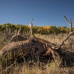 Luke Bryan Instagram - Nothing like a trip out to Colorado with my boys to close out elk season