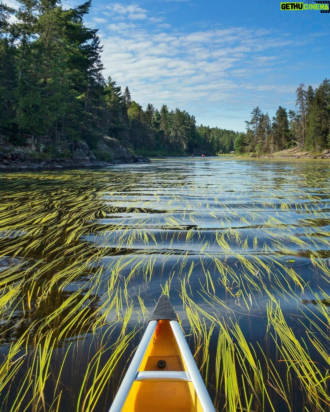 Luke Mullen - 35.6K Likes - TW: Shameless Thirst Trap
Boundary Waters, 4 million acres of the most beautiful and pristine habitat in the United States, will soon become a waste site for a mine. This will not only kill innumerable plants and animals, but HUMANS too. Itâs seriously f*cked up.
But GUESS WHAT?? We can save this place. Basically, all we have to do is write enough letters telling the government to not open up this spot to mining by January 19th, and they are legally obligated to review the comments we send in. Click the link in my bio (it takes 1 minute) to sign the petition and tell the government we want to SAVE THIS PLACE!!!!!! (Link in bio to sign and learn more!!)
(Photo creds to the talented @zach_dink77