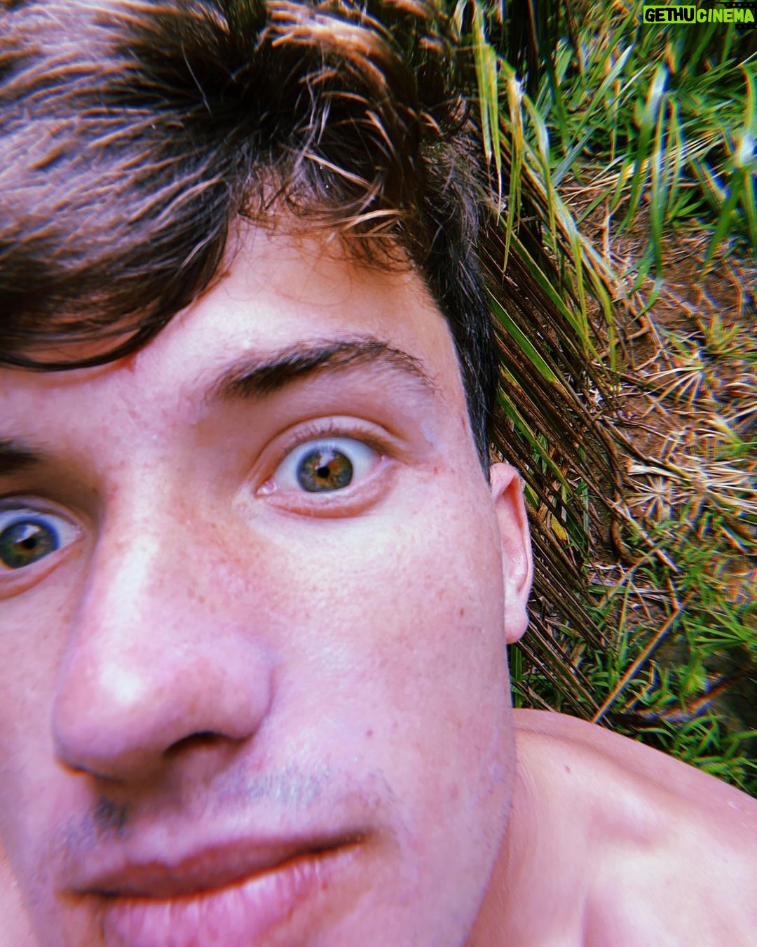 Luke Mullen - 42.4K Likes - âRadicalâ - Chicken Joe