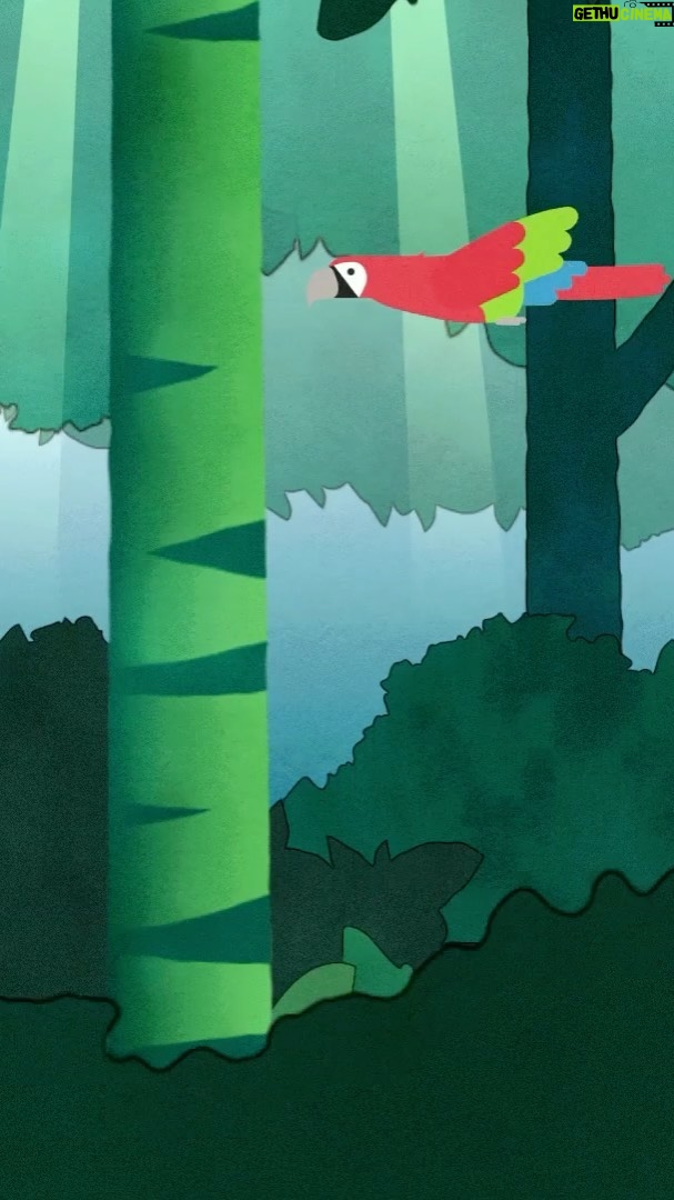 Luke Mullen Instagram - Happy Earth Day! Rainforests are critical to our planet’s health, which is why it is so important to protect them. Check out this video I narrated for @rainforesttrust to get involved to save these beautiful habitats!