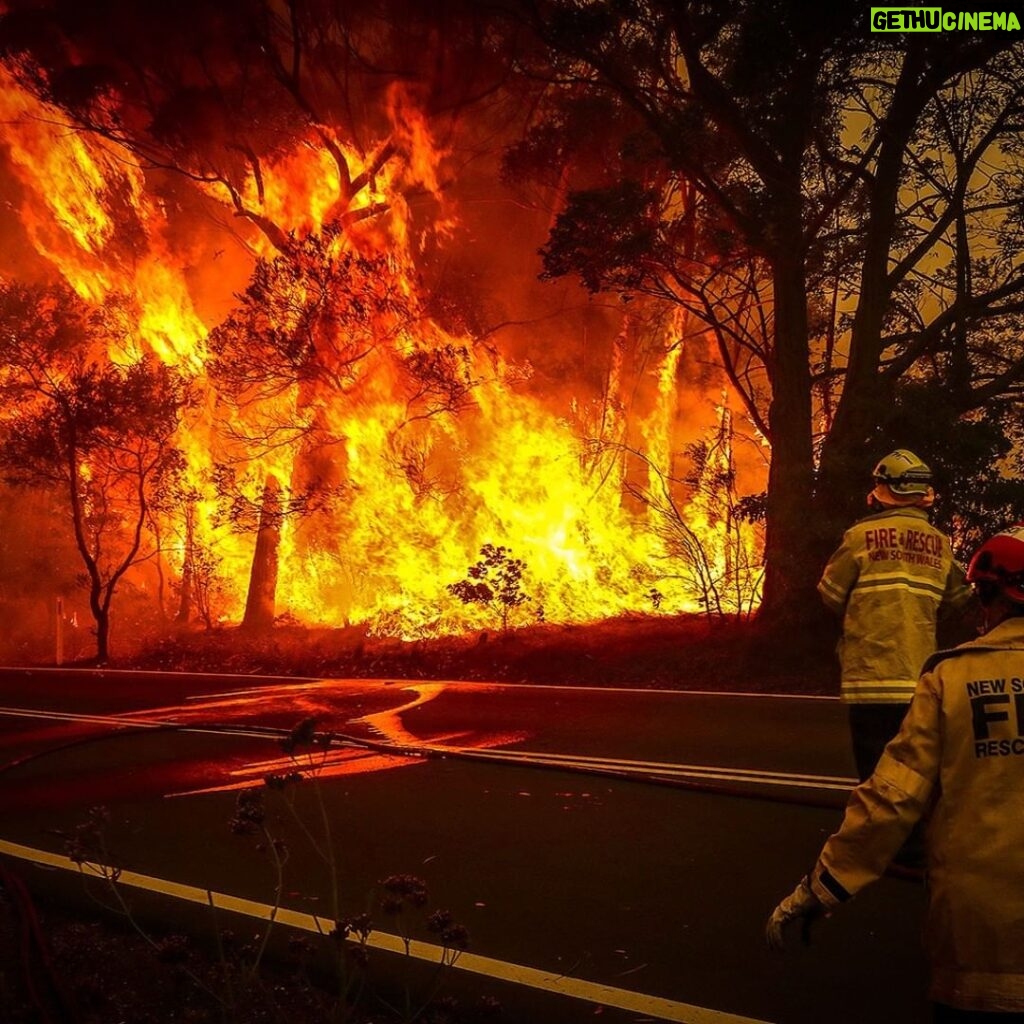 Luke Mullen Instagram - In Australia right now, over 500,000,000 animals have been killed. Over 12 million acres burned. Over 1500 homes destroyed. Another terrible example of the worsening effects of the climate crisis. We need everyone to come together and stop this crisis happening not just in Australia, but all around the world right now. If you want to support the people working tirelessly to put out the fire, go to the link in my bio to donate or go to @nswrfs to help stop these fires from further spreading. If you want to help the millions of displaced and at risk animals due to the fires, please go to @wireswildliferescue. #prayforaustralia #actforaustralia