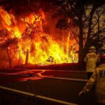 Luke Mullen Instagram - In Australia right now, over 500,000,000 animals have been killed. Over 12 million acres burned. Over 1500 homes destroyed. Another terrible example of the worsening effects of the climate crisis. We need everyone to come together and stop this crisis happening not just in Australia, but all around the world right now. If you want to support the people working tirelessly to put out the fire, go to the link in my bio to donate or go to @nswrfs to help stop these fires from further spreading. If you want to help the millions of displaced and at risk animals due to the fires, please go to @wireswildliferescue. #prayforaustralia #actforaustralia