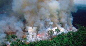 Luke Mullen Instagram - I’m sure a lot of you are feeling scared hearing that the #amazonrainforest has been on fire for the last 16 days, and I am too. The Amazon is the earth’s lungs, and not only produces 1/5 of the worlds oxygen, but is one of the largest carbon sink. This means these fires are releasing that carbon into our atmosphere right now, and this will effect everyone. BUT there still is so much you can do right now: SWIPE to see some ways that will actually make a difference! 
HERE ARE A FEW IMPORTANT NOTES, BUT I BEG YOU TO LOOK MORE INTO THESE AND DONATE!
- Donate to @rainforestactionnetwork to protect an acre of the Amazonian rainforest.
-
For an emergency response to the Amazon, donate to @amazonfrontlines who protect millions of acres of land in the Amazon -
Donate to the @rainforesttrust to help buy land in the rainforest. Since 1988, the organization has saved over 23 million acres and counting.
-
STOP EATING MEAT (especially beef). Meat is responsible for about 10% of the global emissions
-
Make sure you are buying @rainforestalliance certified products, and donate to them because they make sure farming practices are sustainable!