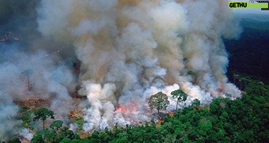 Luke Mullen - 36.1K Likes - Iâm sure a lot of you are feeling scared hearing that the #amazonrainforest has been on fire for the last 16 days, and I am too. The Amazon is the earthâs lungs, and not only produces 1/5 of the worlds oxygen, but is one of the largest carbon sink. This means these fires are releasing that carbon into our atmosphere right now, and this will effect everyone. BUT there still is so much you can do right now: SWIPE to see some ways that will actually make a difference!
HERE ARE A FEW IMPORTANT NOTES, BUT I BEG YOU TO LOOK MORE INTO THESE AND DONATE!
- Donate to @rainforestactionnetwork to protect an acre of the Amazonian rainforest.
-
For an emergency response to the Amazon, donate to @amazonfrontlines who protect millions of acres of land in the Amazon -
Donate to the @rainforesttrust to help buy land in the rainforest. Since 1988, the organization has saved over 23 million acres and counting.
-
STOP EATING MEAT (especially beef). Meat is responsible for about 10% of the global emissions
-
Make sure you are buying @rainforestalliance certified products, and donate to them because they make sure farming practices are sustainable!