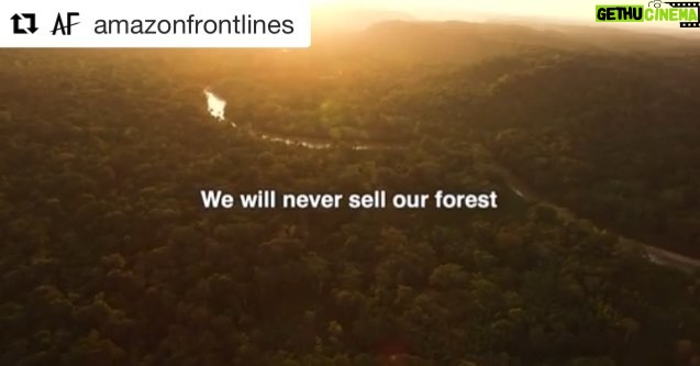 Luke Mullen Instagram - Tomorrow, the Waorani people (native people to the Amazon) are just one day away from saving 500,000 acres of rainforest from oil drilling and they need our support!! Sign the petition in my bio to send a message to the Ecuadorian Government: indigenous rights trump fossil fuels. Link in bio. #WaoraniResistance UPDATE: SUCCESS! The government has listened and the land will not be auctioned off to oil drilling!