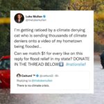 Luke Mullen Instagram - While thousands of Californians are losing their homes, livelihoods, and LIVES to unprecedented flooding, thousands of climate deniers are in my replies denying the climate crisis exists. Help me outratio this climate denying cat by donating to the link in my b¡o!!!!! #ratiorelief