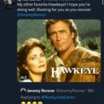 Lynda Carter Instagram - I collect Hawkeyes. Next up is @thealanalda…