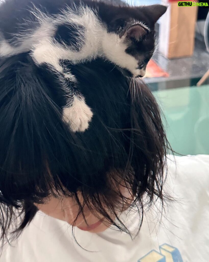 Lynn Lim Instagram - 25 months since Goku’s passing. While I’m still uncertain about loving again, I believe everything happens for a reason. We named her Pepé Le Pew. See how my neck acts as her mother’s nipples..😣