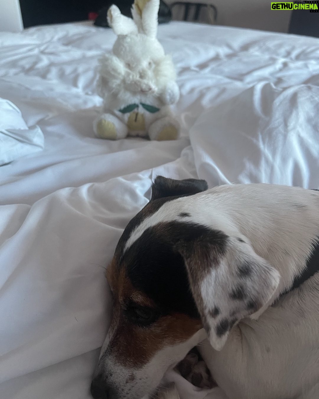 Mónica Gonzaga Instagram - Lola para ella al conejo