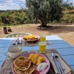 Mónica Jardim Instagram - O Alentejo está salpicado de refúgios serenos onde se respira sossego, ar puro e a autêntica vida campestre! Obrigada à formidável equipa do @montegoiscountryhouse pelo carinho e mimo recebidos 💛 Monte Gois Country House & Spa