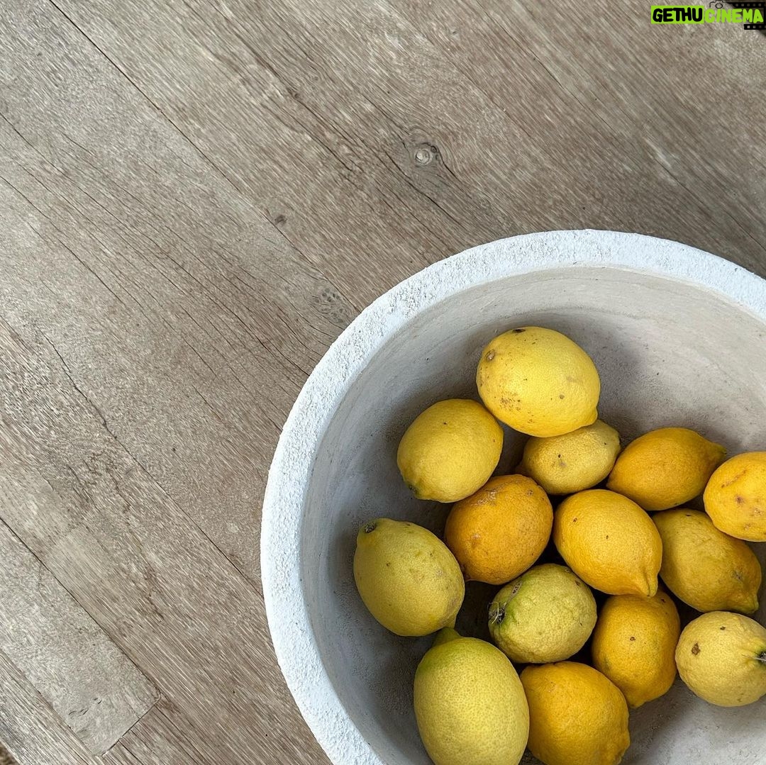 Müge Bayramoğlu Instagram - When life gives you lemons🍋