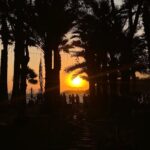 Müge Bayramoğlu Instagram - Yazı ve sarı saçlarımı özlediğim bi dump🌞