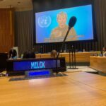 MILCK Instagram - This weekend, I experienced a bucket list moment while performing within the walls of the United Nations headquarters in NYC with the one and only @natashabedingfield. Art and policy work hand in hand. Feeling energized to continue learning how to blend the two together. Hopeful. Grateful. #UNGA #spotlightinitiative #newyorkcity United Nations Headquarters