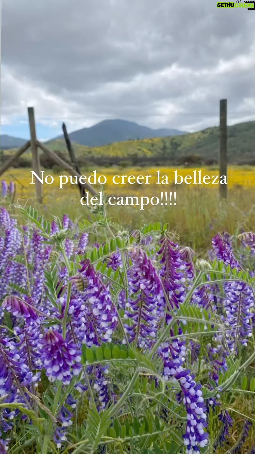Macarena Pizarro Instagram - Un paseo increíble en el campo, con una primavera maravillosa!!! Gracias por la lluvia 🙌🏻