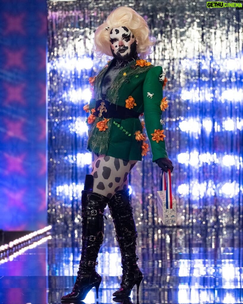 Madame Madness Instagram - Look inspired by @junobirch 🐄 Category is: Miss Holland 🇳🇱 Watch me slay the runway on #DragRaceHolland, now available on @wowpresentsplus in the U.S. + Australia + worldwide (excluding the Netherlands) and exclusively in the Netherlands on @videolandonline! 🏁 . . . . #drag #pride #dragqueen #dragrace #RPDR #dragraceholland #transformationtuesday #cute #dragmakeup #mua #makeup #love #instagood #instamood #instadrag #photooftheday #tbt #beautiful #happy #fashion #ootd #fun #igers #amazing #beauty #gay #gayguy Rupaul's Drag Show