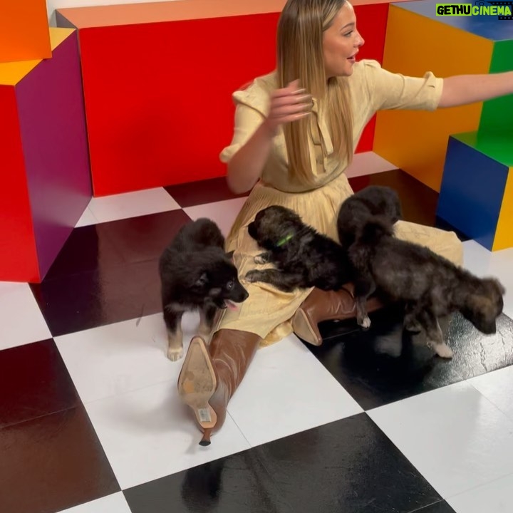 Madelyn Cline Instagram - Tiff!!! The dress!! Onions!! The bird!! Puppies!!!