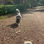 Madhurima Basak Instagram - What a day!!!! mOana!!! ❤️❤️❤️ #vacation #family #pet #husky #petlovers #moana #shantiniketan
