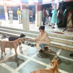 Madhurima Basak Instagram - What is a lover of animals called? A person who loves animals or pets. animal lover. zoophilist. animal person. I’m zoophilist… 😃 #zoophilist #animallovers #dogs #dogsofinstagram #cats #catsofinstagram #straykids #pets #puresouls #mylove #mypeace