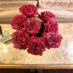 Madison Bailey Instagram -