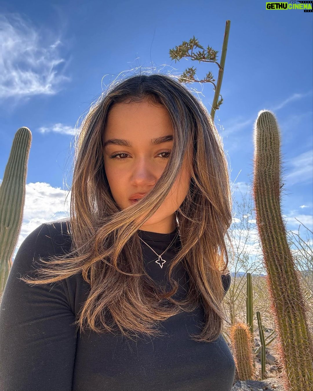 Madison Bailey Instagram - Starting my year on baecation ππ§π½ββοΈπ«Άπ½ Joshua Tree, California