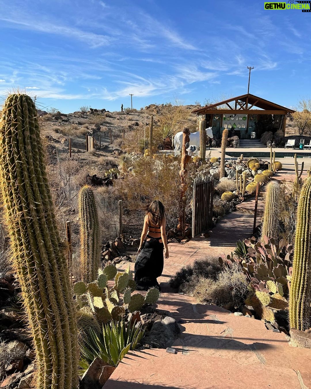 Madison Bailey Instagram - New year, new intentions 🌵