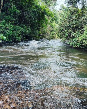 Mafalda Matos Instagram - A Mogli é feliz na selva 💚 Cascata de Calandula 🇦🇴 Que viagem...
.
.
.
#angola #calandula #cascata #mogli