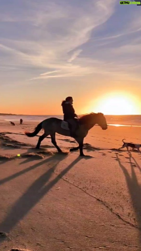 Mafalda Matos Instagram - How much time do you spend in nature?? Let's enjoy sunsets and friends 🤗 . . . #sunset #beach #horseriding #nature #qualitytime #portugal #sines