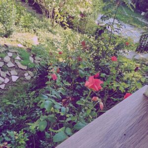 Mafalda Matos Instagram - Time to rest and connect with my soul 🤍 feeling blessed... so many beautiful souls caring my needs in such a gentle way. Amazing meditations and knowledge I'm  learning here. Forever a student, Forever a teacher. 
.
.
#soul #hungary #retreat