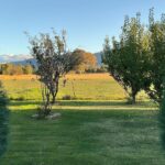 Magda Szubanski Instagram - So nice to get away to the country for my birthday. Happy and peaceful holidays everyone 💕🙏❤️🌈🌺 #magichour #magic #nature
