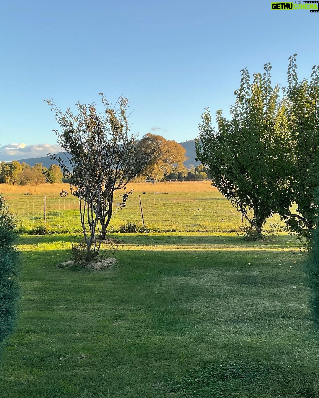 Magda Szubanski Instagram - So nice to get away to the country for my birthday. Happy and peaceful holidays everyone 💕🙏❤️🌈🌺 #magichour #magic #nature
