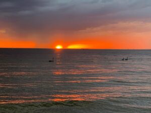 Magda Szubanski Instagram - Oh wow!! Incredible sunset and lightning over the bay 
🌅 🌩⛈ Hey @wendysharpeart they remind me of the colours you used in my portrait!!