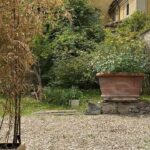 Magda Szubanski Instagram - Birds and bells and bees. Agriturismo in Italia Please enjoy 🐦‍⬛🔔🐝❤️🇮🇹