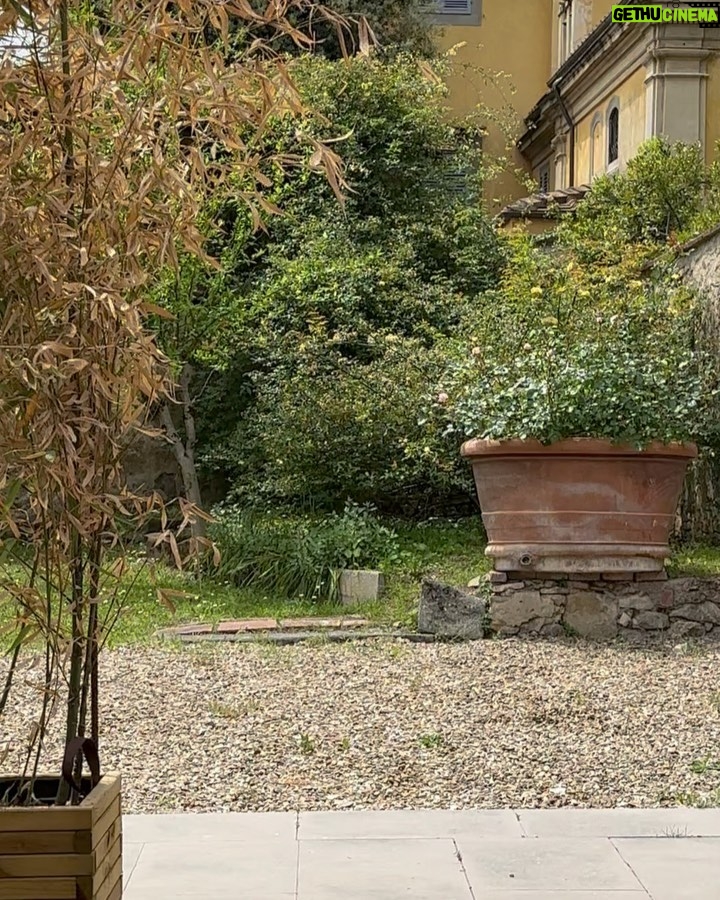 Magda Szubanski Instagram - Birds and bells and bees. Agriturismo in Italia Please enjoy 🐦⬛🔔🐝❤️🇮🇹