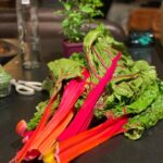 Magda Szubanski Instagram - Continuing my love affair with rainbow chard. How pretty is this?!! The COLOURS!! 🌈