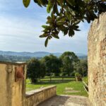 Magda Szubanski Instagram - Birds and bells and bees. Agriturismo in Italia Please enjoy 🐦‍⬛🔔🐝❤️🇮🇹