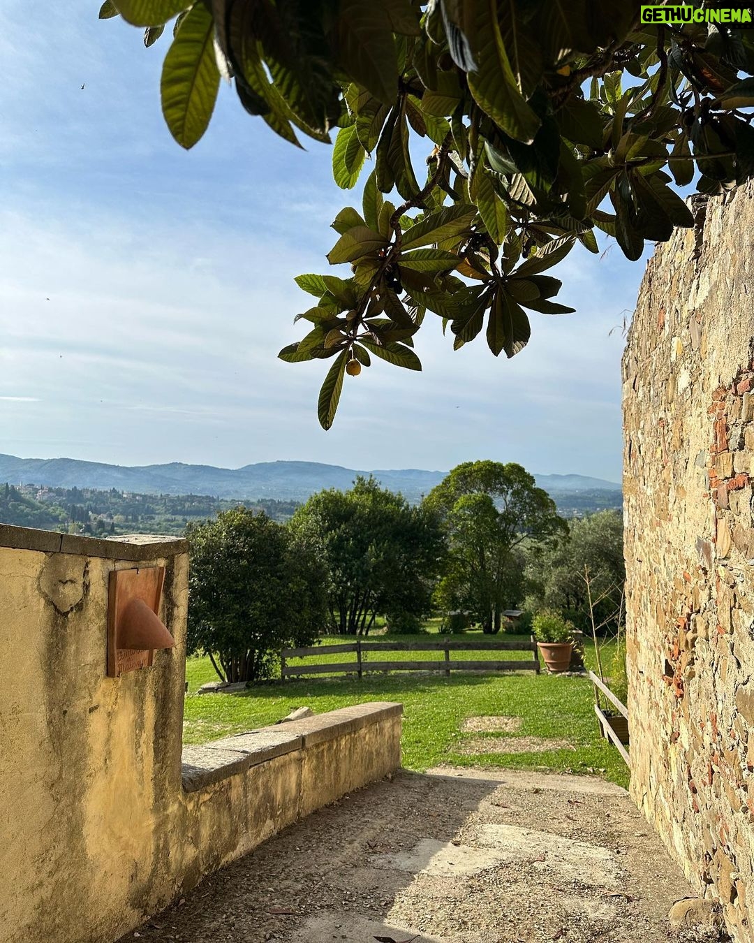 Magda Szubanski Instagram - Birds and bells and bees. Agriturismo in Italia Please enjoy 🐦⬛🔔🐝❤️🇮🇹