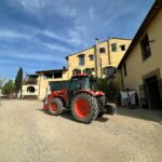 Magda Szubanski Instagram - Birds and bells and bees. Agriturismo in Italia Please enjoy 🐦‍⬛🔔🐝❤️🇮🇹