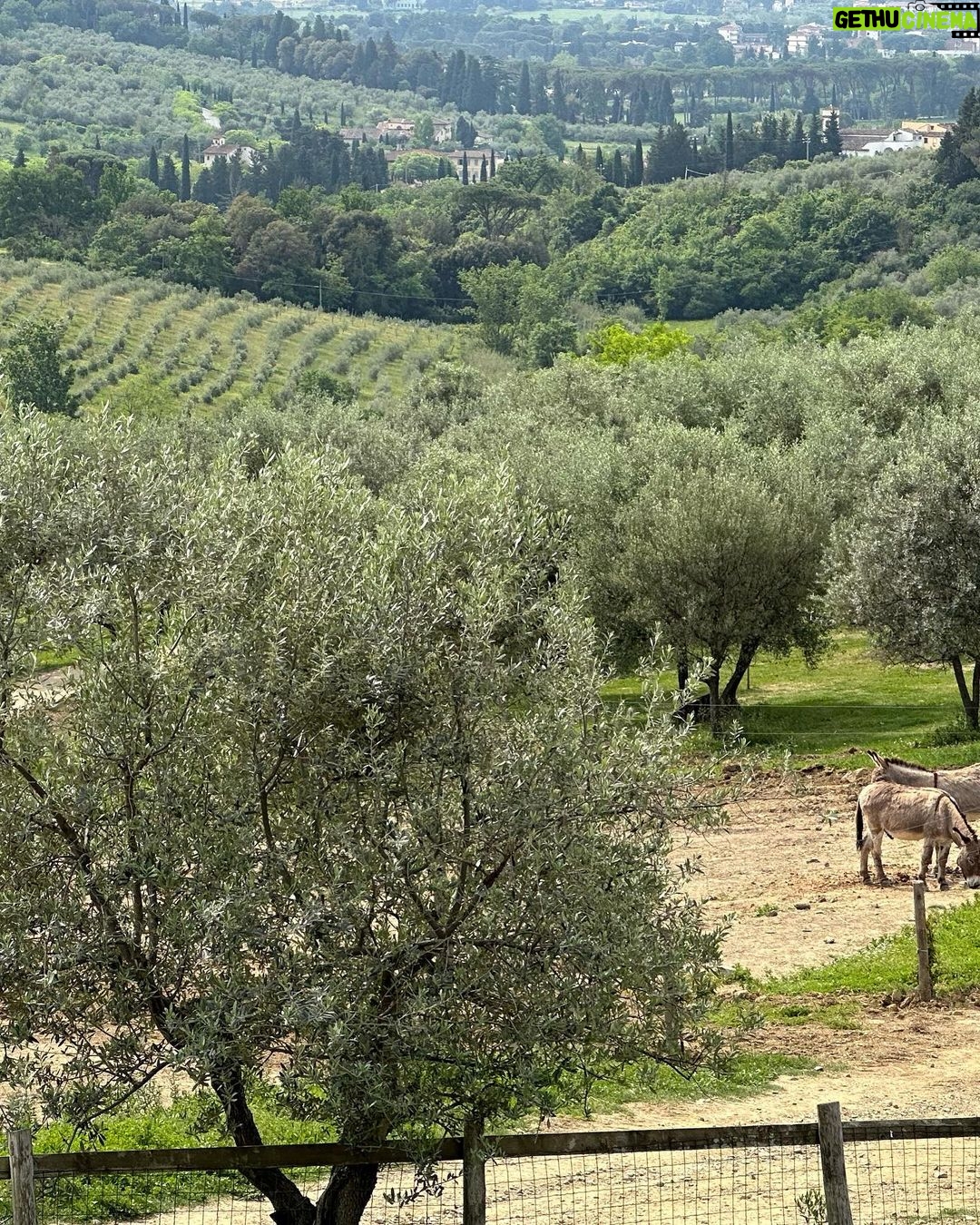 Magda Szubanski Instagram - Birds and bells and bees. Agriturismo in Italia Please enjoy 🐦⬛🔔🐝❤️🇮🇹