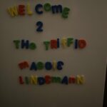 Maggie Lindemann Instagram - australia dump 🐨