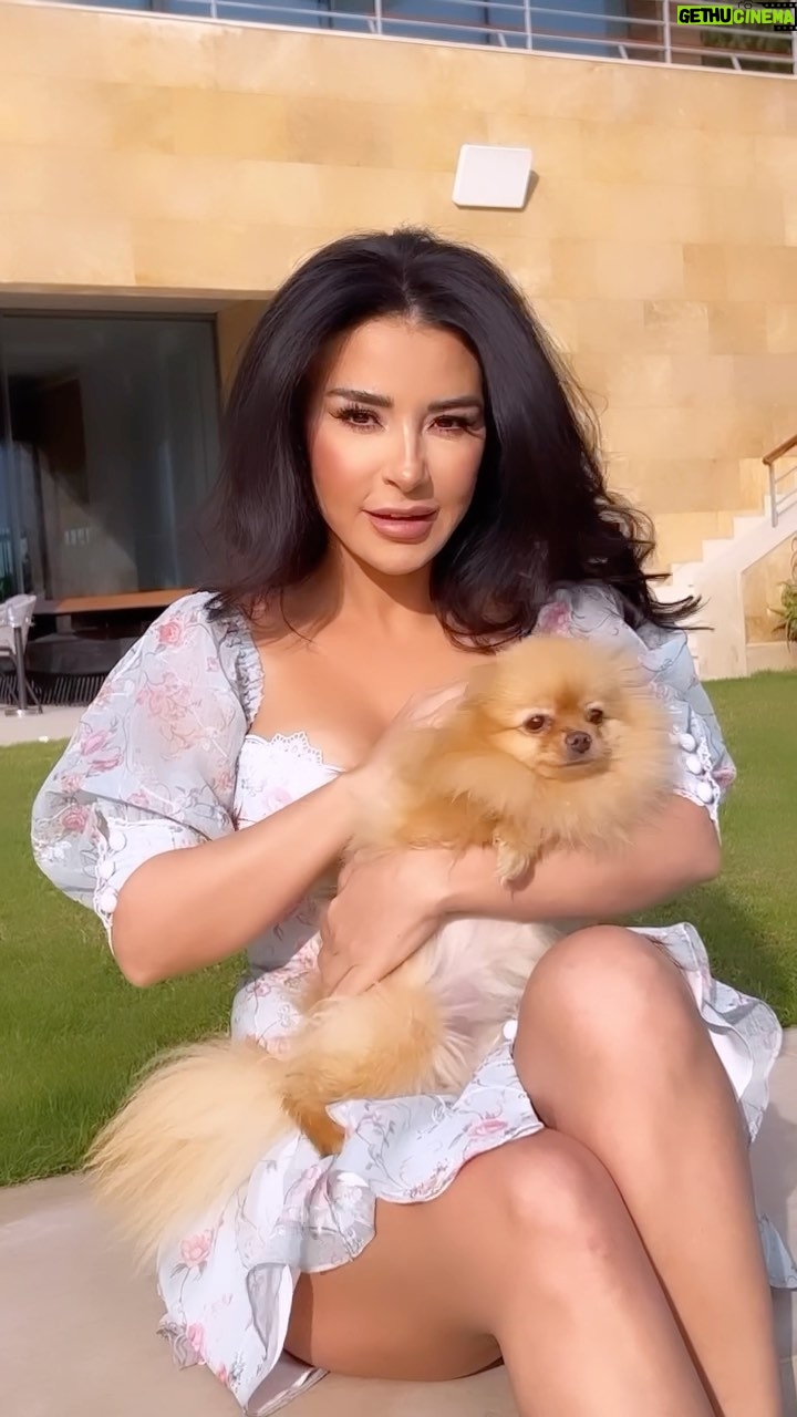 Maguy Bou Ghosn Instagram - 🤍 #MaguyBouGhosn | #ماغي_بو_غصن